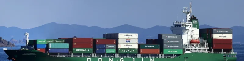 DONGJIN ENTERPRISE Container Ship IMO 9704300 photo 2