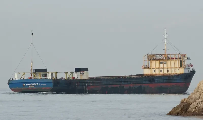 NP LOVEGISTICS 1 Container Ship IMO 9704568 photo 2