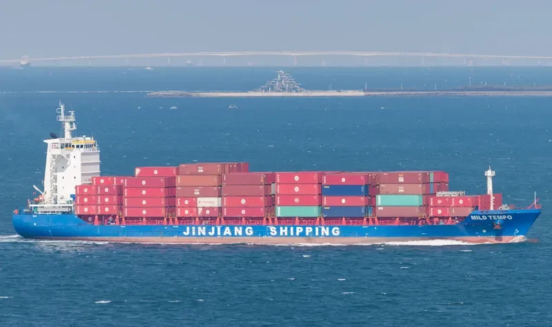 MILD TEMPO Container Ship IMO 9704582 photo 2