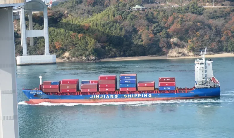 MILD TEMPO Container Ship IMO 9704582 photo 4