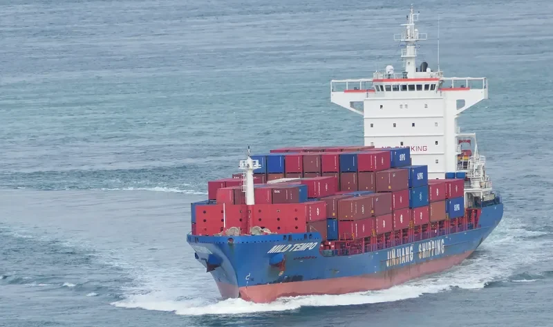 MILD TEMPO Container Ship IMO 9704582 photo 8