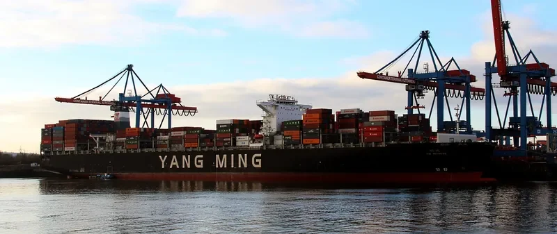 YM WITNESS Container Ship IMO 9704609