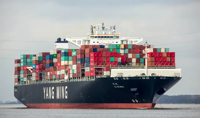 YM WITNESS Container Ship IMO 9704609 photo 3