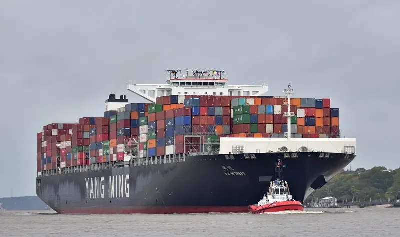 YM WITNESS Container Ship IMO 9704609 photo 4