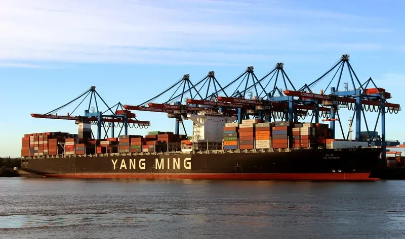 YM WITNESS Container Ship IMO 9704609 photo 5