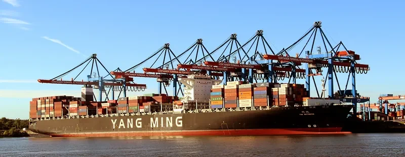 YM WITNESS Container Ship IMO 9704609 photo 6