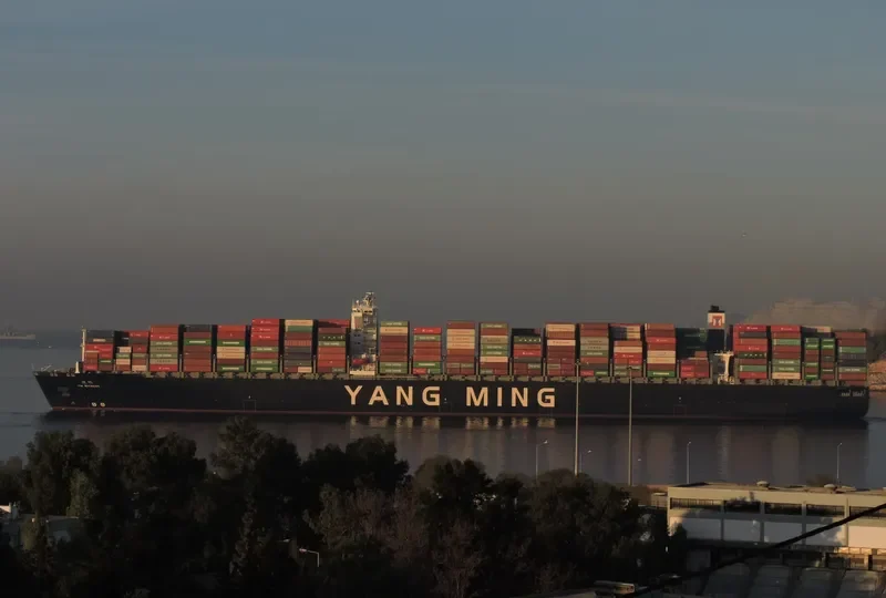 YM WITNESS Container Ship IMO 9704609 photo 8