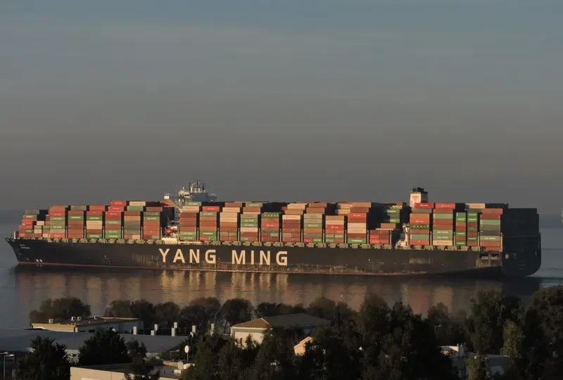 YM WITNESS Container Ship IMO 9704609 photo 9
