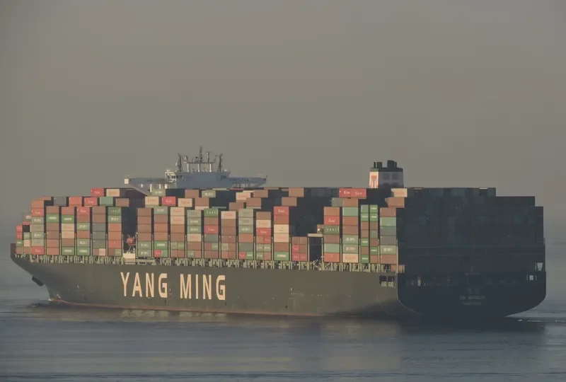 YM WITNESS Container Ship IMO 9704609 photo 10