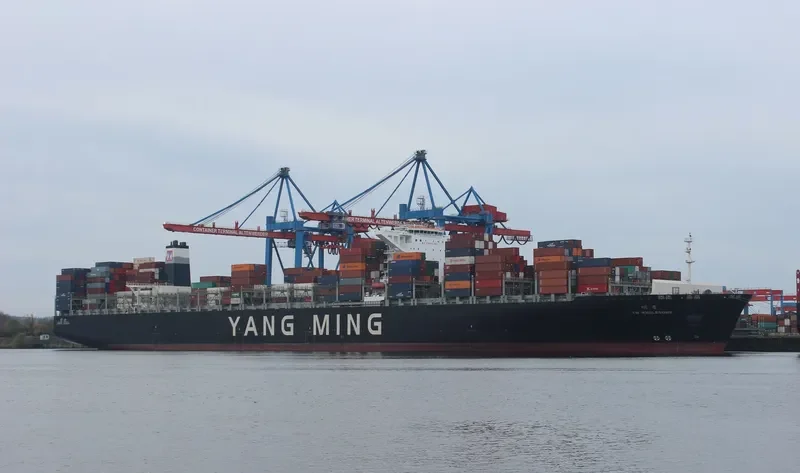 YM WHOLESOME Container Ship IMO 9704611