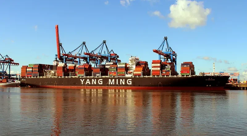 YM WHOLESOME Container Ship IMO 9704611 photo 5
