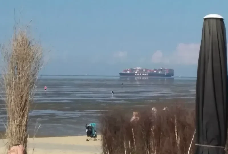 YM WHOLESOME Container Ship IMO 9704611 photo 9