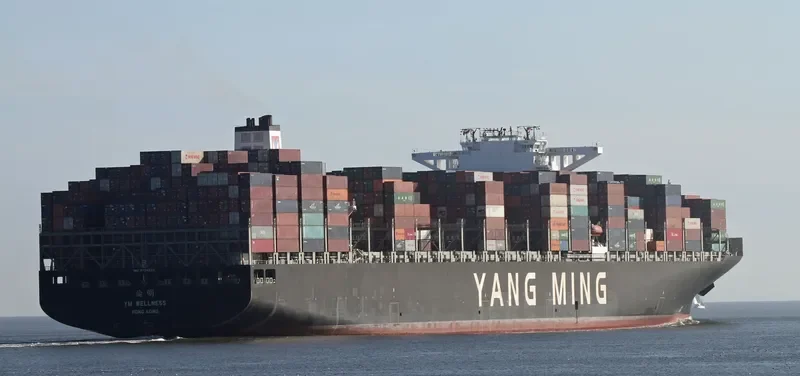 YM WELLNESS Container Ship IMO 9704623