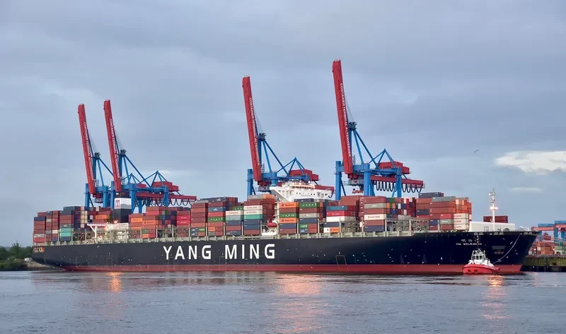 YM WELLNESS Container Ship IMO 9704623 photo 2