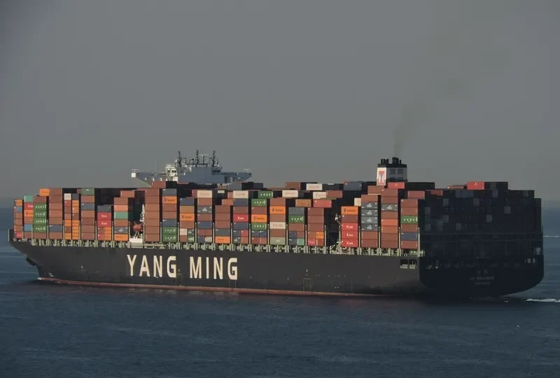 YM WELLNESS Container Ship IMO 9704623 photo 3