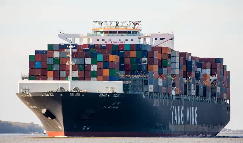 YM WELLNESS Container Ship IMO 9704623 photo 4