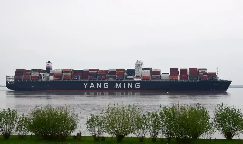 YM WELLNESS Container Ship IMO 9704623 photo 5