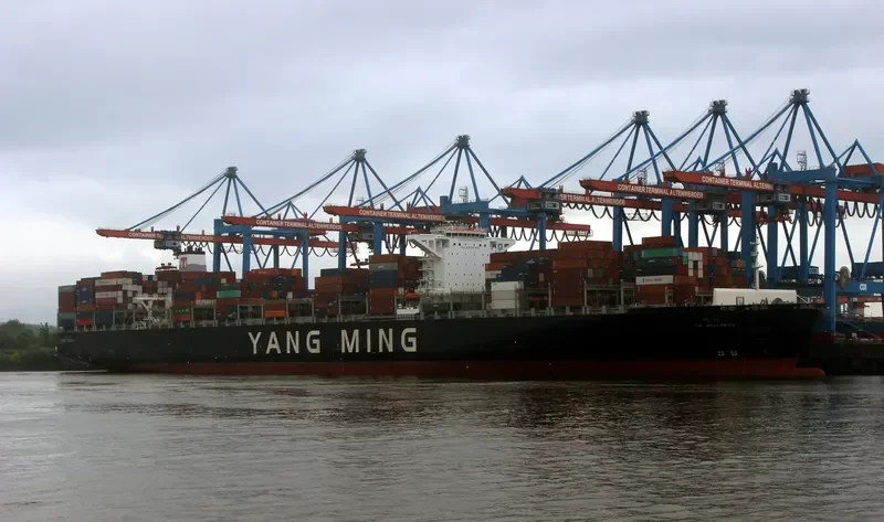 YM WELLNESS Container Ship IMO 9704623 photo 6
