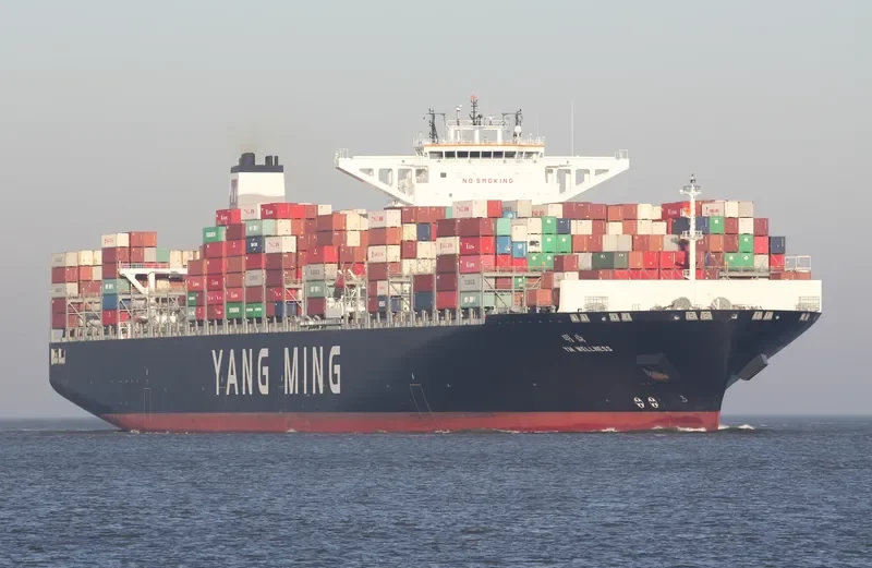 YM WELLNESS Container Ship IMO 9704623 photo 7