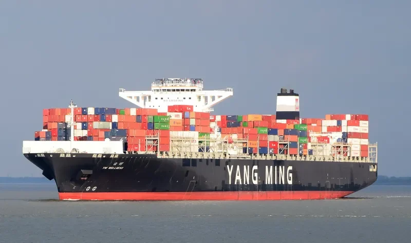 YM WELLNESS Container Ship IMO 9704623 photo 8