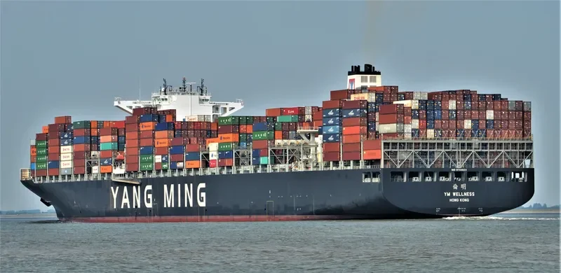 YM WELLNESS Container Ship IMO 9704623 photo 9