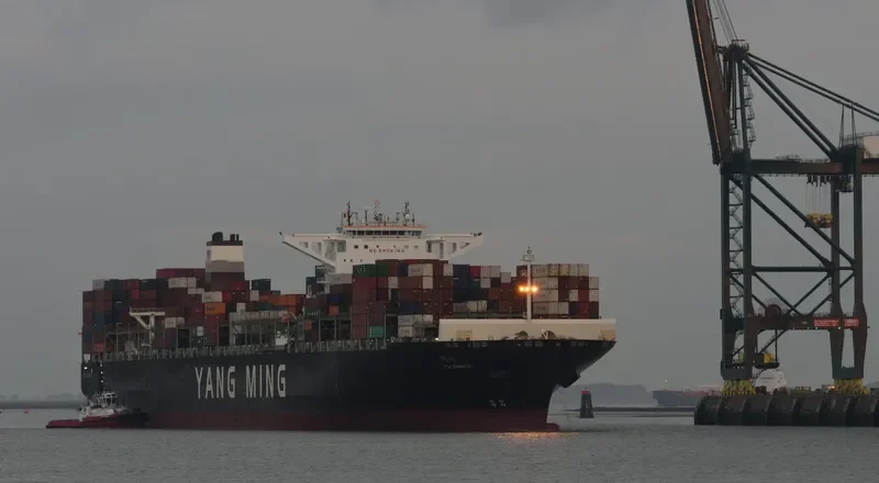 YM WARMTH Container Ship IMO 9704647