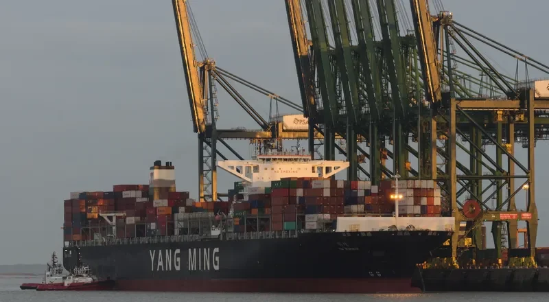 YM WARMTH Container Ship IMO 9704647 photo 3
