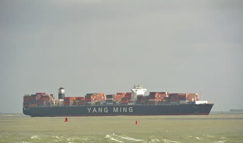YM WARMTH Container Ship IMO 9704647 photo 4
