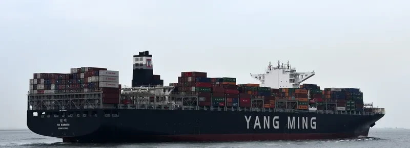 YM WARMTH Container Ship IMO 9704647 photo 8