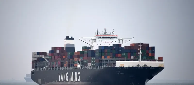 YM WARMTH Container Ship IMO 9704647 photo 9