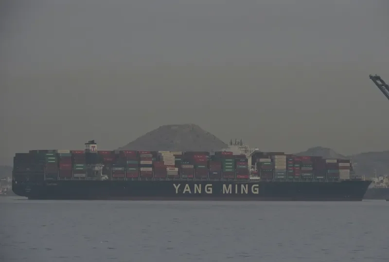 YM WARMTH Container Ship IMO 9704647 photo 10