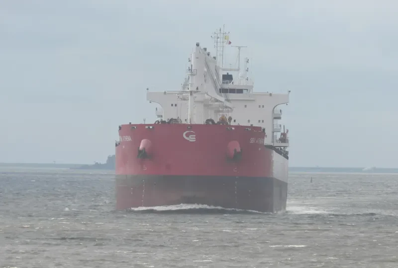 BBG KINDNESS Bulk Carrier IMO 9704829 photo 7