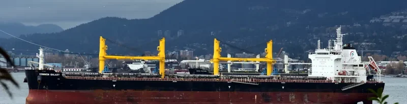 COMMON GALAXY Bulk Carrier IMO 9704831 photo 2
