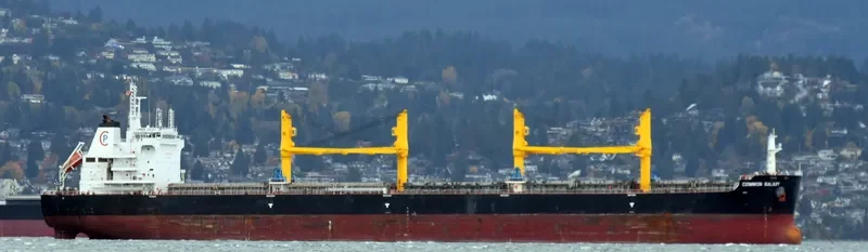 COMMON GALAXY Bulk Carrier IMO 9704831 photo 3