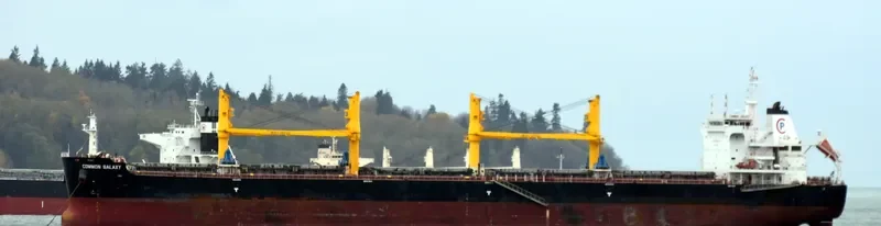 COMMON GALAXY Bulk Carrier IMO 9704831 photo 5