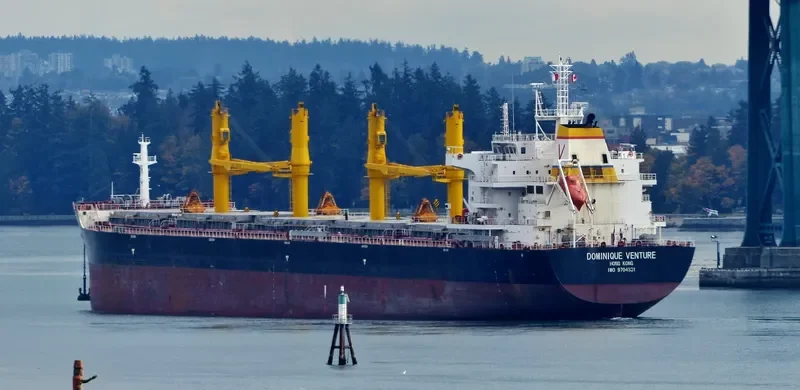 COMMON GALAXY Bulk Carrier IMO 9704831 photo 6
