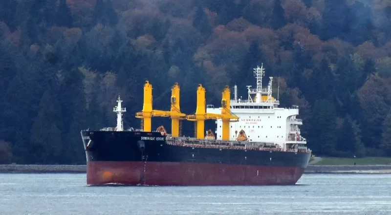COMMON GALAXY Bulk Carrier IMO 9704831 photo 9