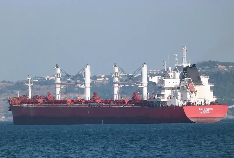 BBG LEADER Bulk Carrier IMO 9704843 photo 7