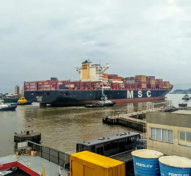 MSC LILY Container Ship IMO 9704960