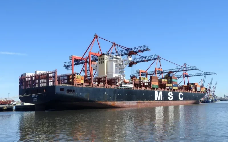 MSC LILY Container Ship IMO 9704960 photo 2