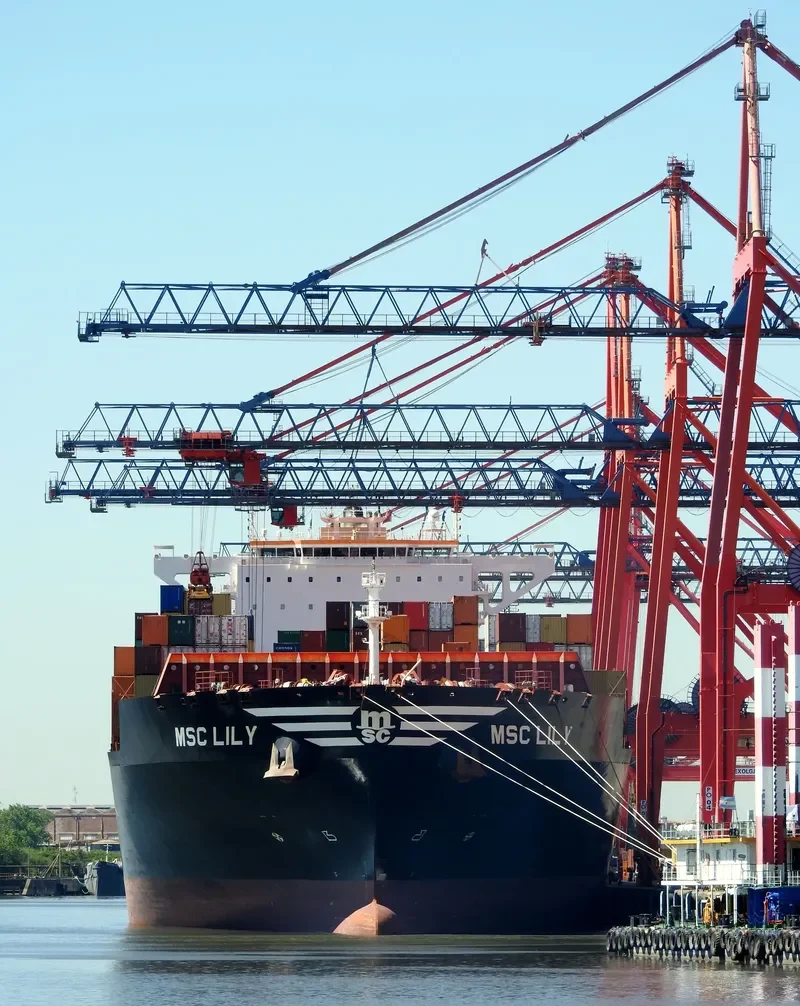 MSC LILY Container Ship IMO 9704960 photo 3
