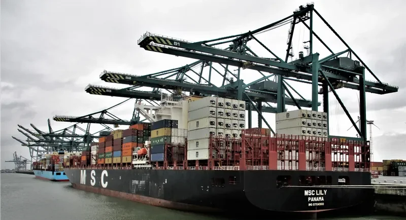 MSC LILY Container Ship IMO 9704960 photo 6