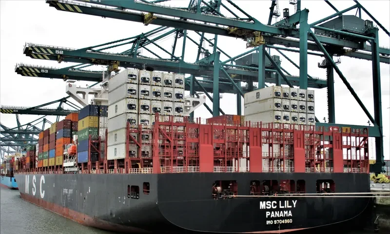 MSC LILY Container Ship IMO 9704960 photo 7