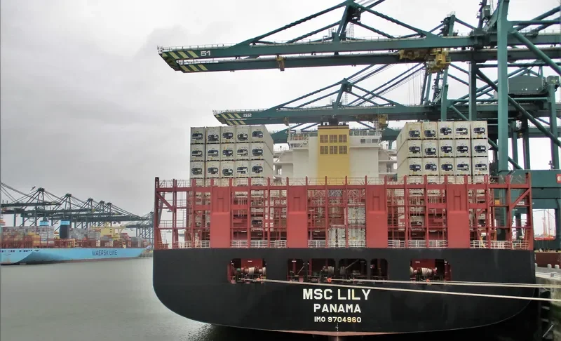 MSC LILY Container Ship IMO 9704960 photo 8