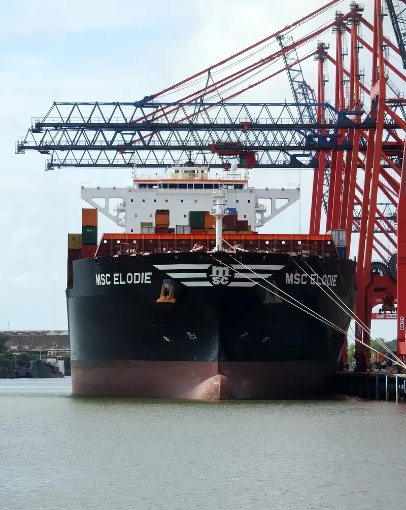 MSC ELODIE Container Ship IMO 9704972 photo 5