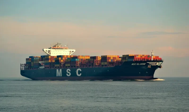 MSC ELODIE Container Ship IMO 9704972 photo 9