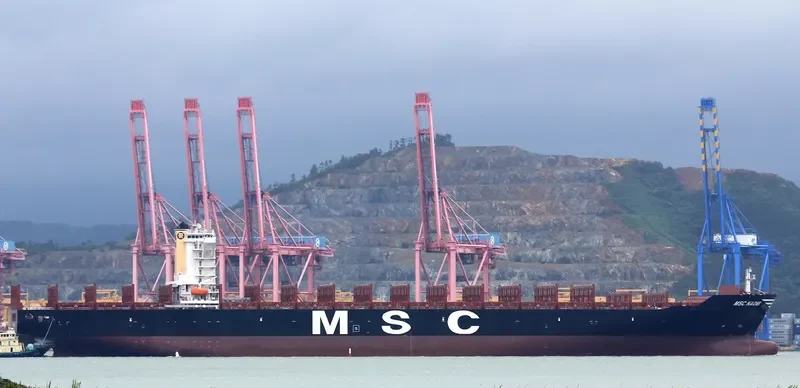 MSC NAOMI Container Ship IMO 9704984 photo 7