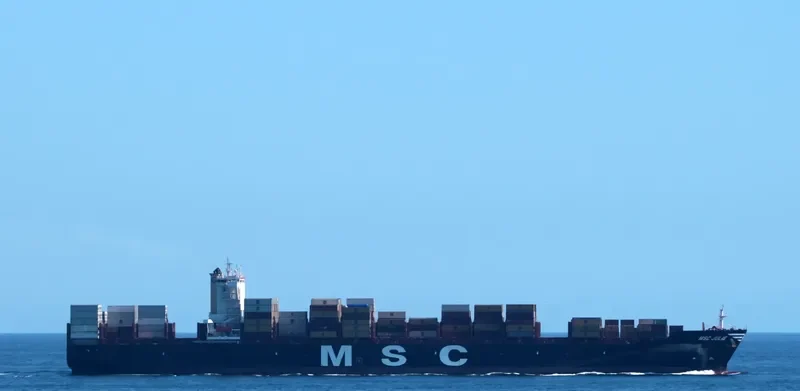 MSC JULIE Container Ship IMO 9704996 photo 2
