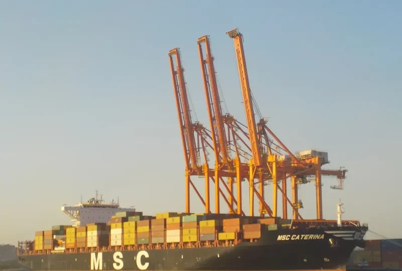 MSC CATERINA Container Ship IMO 9705005 photo 6