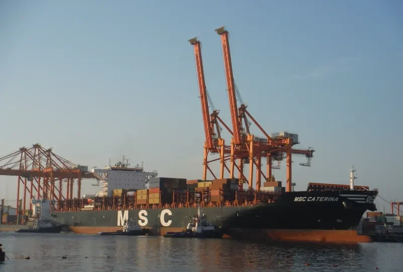 MSC CATERINA Container Ship IMO 9705005 photo 7